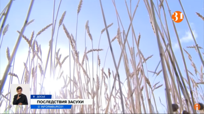 Цены на продукты в Казахстане взлетят из-за засухи на 40% – эксперт