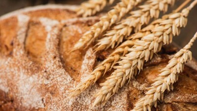 Мировой продовольственный кризис. Грозит ли Казахстану дефицит хлеба
