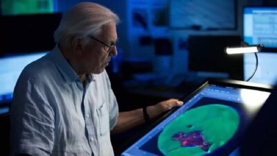 Динозавры вымерли из-за падения астероида. Учёные нашли ногу динозавра, который, вероятно, пал в числе первых