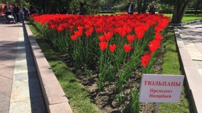 Тюльпаны, песня, велосипед. Чем примечательны подарки, преподнесённые Лидеру нации