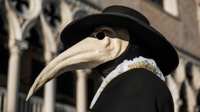 Как чума сыграла (и продолжает играть) важную роль в эволюции человека