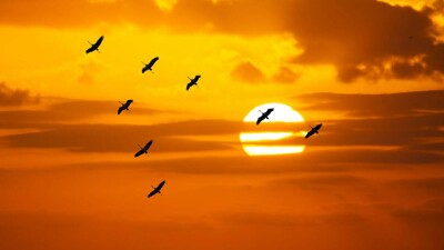 ООН: озоновый слой Земли восстановится к 2060-м годам