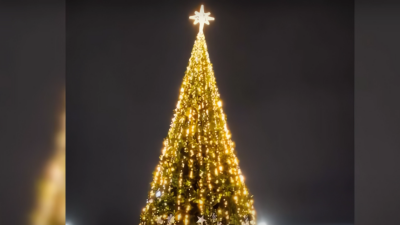 "Мероприятия провели, но не заплатили". Поставщик разобрал главную ёлку в Житикаре