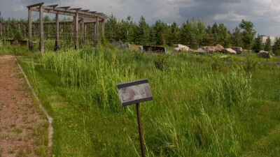 Обветшал за четыре года: как выглядит ботанический сад в Нур-Султане