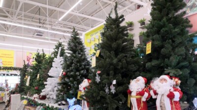 Насколько за год подорожали новогодние ёлки