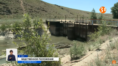 Из-за прорыва дамбы сёла ВКО остались без воды: гибнет урожай