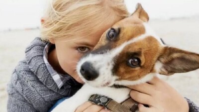 Плачут ли собаки от радости? Учёные спорят об этом