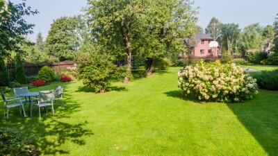 Бесплатные 10 соток: что делать, если система не принимает заявление