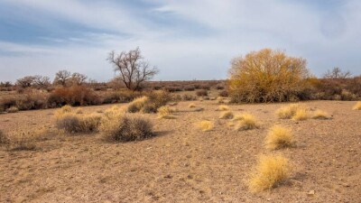 Власти выделили 12 млрд тенге в помощь фермерам: куда обращаться пострадавшим от засухи, чтобы получить эти деньги