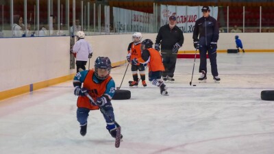 Не потерять бы ArtSport окончательно
