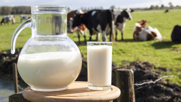 Молоко дорожает. Что ждёт рынок Казахстана без российской продукции