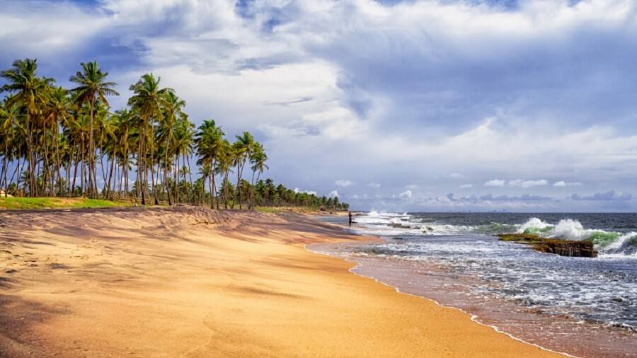 Девственным пляжам Негомбо (Шри-Ланка) грозит опасность из-за пластика и сгоревших отходов от затонувшего грузового судна X-Press Pearl у берегов Шри-Ланки / Фото: Амила Теннакун (2011), Flickr, лицензия CC BY 2.0 [рус].