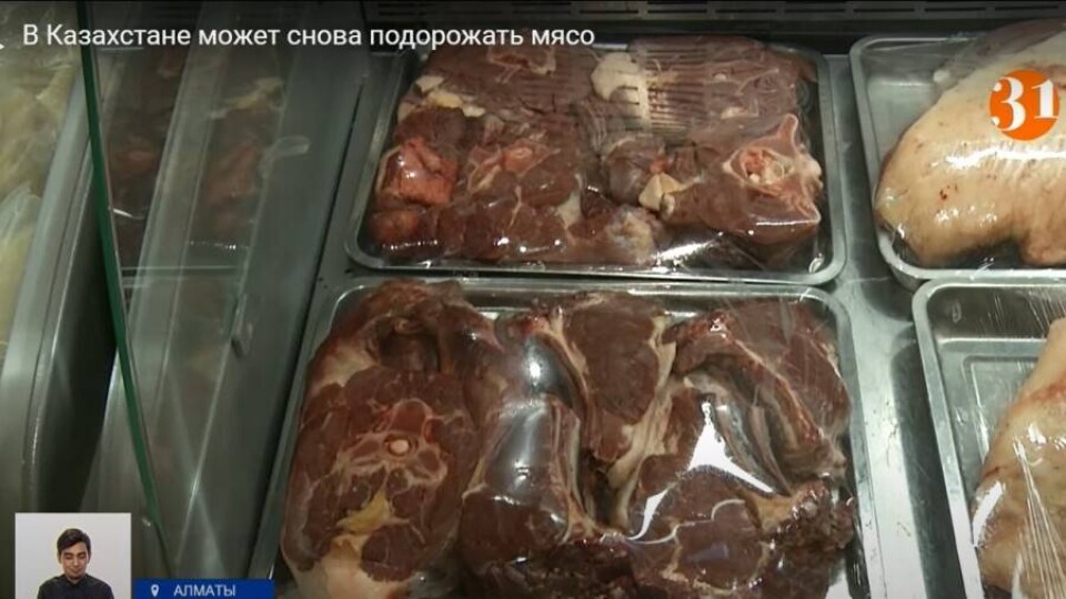Кадр из сюжета "31 канала"