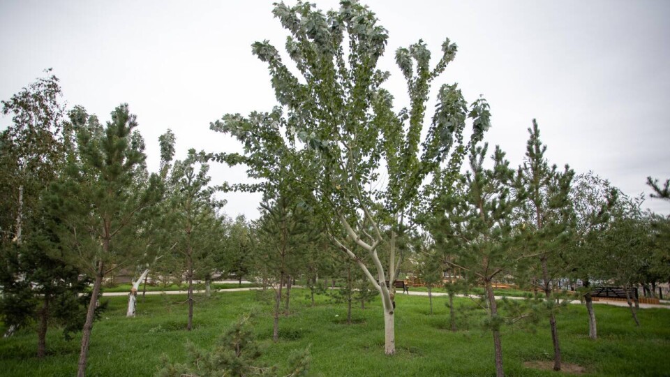 Фото Informburo.kz