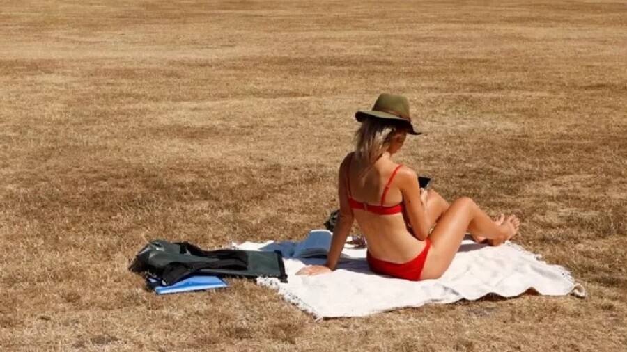 Фото: пересохшие Гарда и Рейн – последствия засухи в Европе