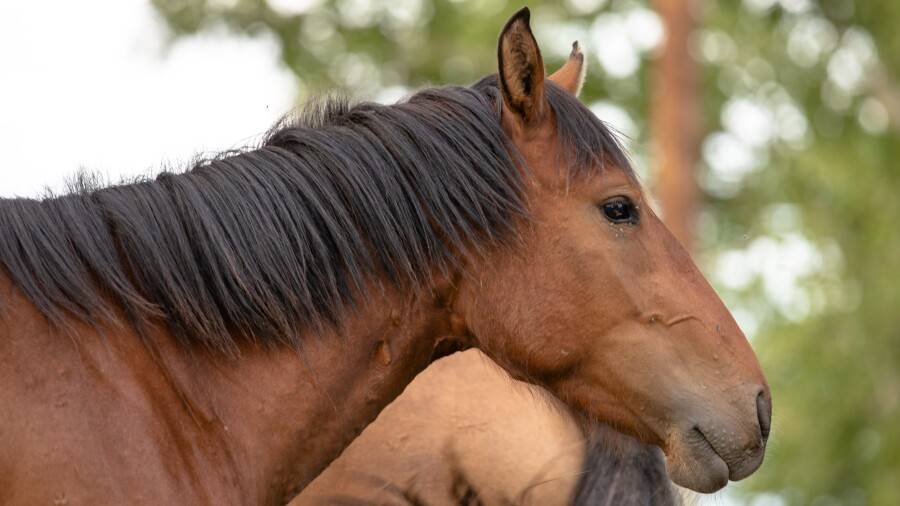 Фото Informburo.kz