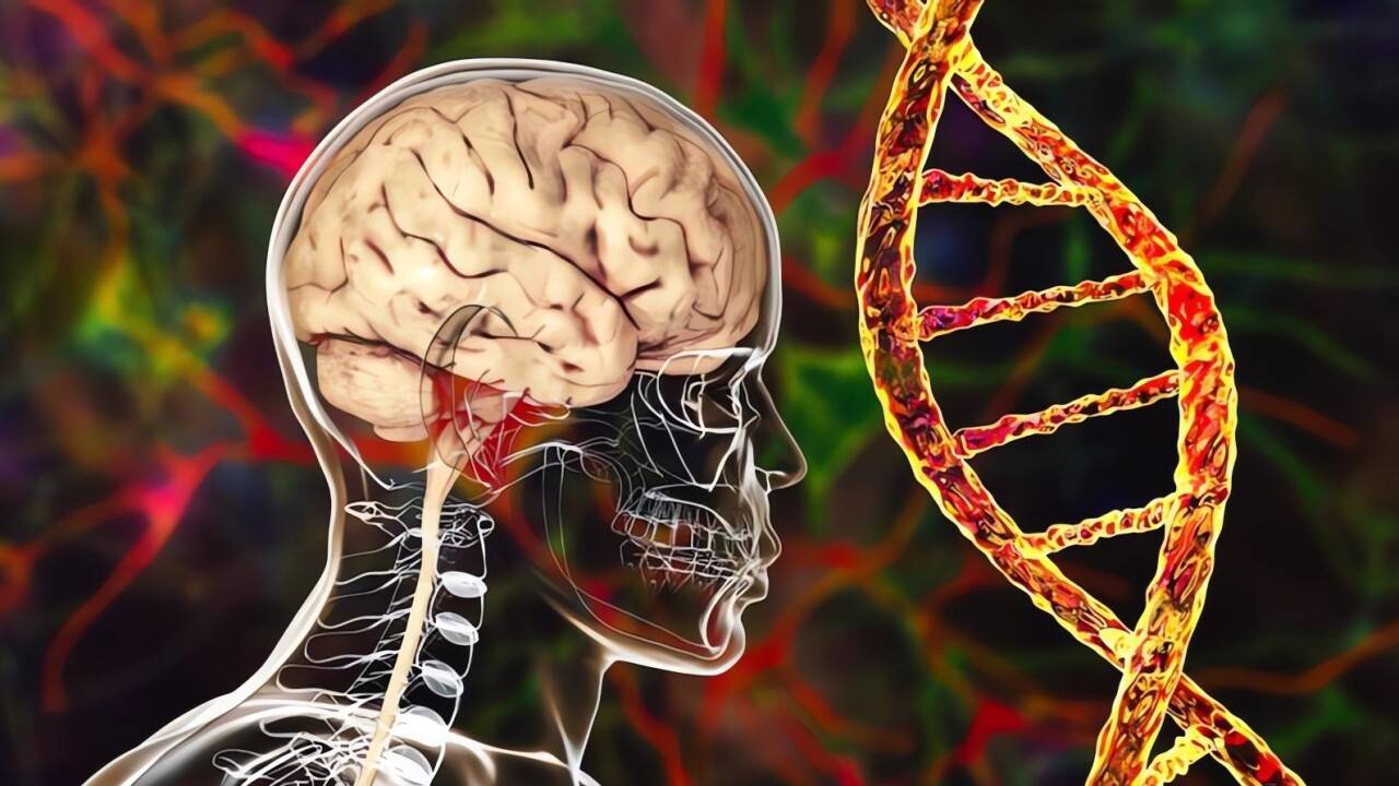 Что делать, если у близкого вам человека начинается деменция. Как с ним себя  вести? И чего ждать дальше? | informburo.kz