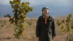 Ғалым Мәншүк Жексембекова: Қазақстанда күнделікті тағамға жаңғақ қосу мәдениеті қалыптаспаған
