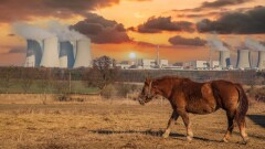Қазақстанда атом энергетикасы бойынша оң тәжірибенің бары – үлкен басымдық