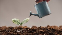 Су үнемдеу технологиясы: Алматы облысында суару мәселесі қалай шешіліп жатыр