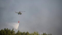 Экология министрлігі ормандағы өрт туралы: Қатты түтін ұшқыштардың жұмысын қиындатуда
