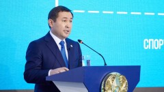 Шымкент әкімі: Қалада көп ағашты жолайрықтар салу үшін кесуге мәжбүр болдық