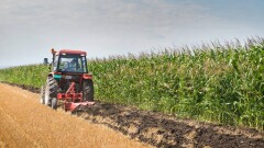 Павлодар облысында қырыққа жуық шаруа жалға алған жерін қайтаруды сұрады