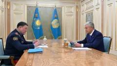 Мемлекет басшысы Ішкі істер министрін қабылдады: елдегі қылмыс саны 9 пайызға азайған