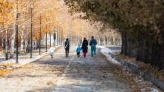 "Мерейлі отбасы", "Шаңырақ" және "Әже мен немере": Павлодар облысы отбасы институтын қалай нығайтып жатыр?