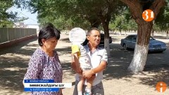 Жамбыл облысындағы балабақшада бүлдіршінді 19 жерінен тістеп тастаған