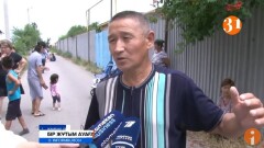 "Төңірекке ауру таратады". Тараздықтар ауласынан шошқа фермасын ашқан көршісіне шағымданды
