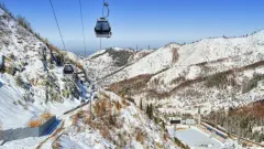 190 мыңға жуық әлеуметтік осал топ өкілі Шымбұлақ қызметін пайдаланды