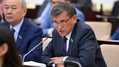 Сенат депутаты "Тәлім ТВ" мен "Ел Арнаны" жасөспірімдер арнасына айналдыруды ұсынды