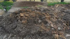 Жетісайда күдіктінің ауласынан іс-түссіз жоғалған әйелдің мәйіті табылды