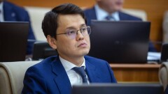 Мемлекет басшысы Бағдат Мусинге: Премьер-министрді ұятқа қалдырып отырсыз
