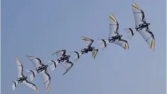 Қытайда құстарға еліктеп ұшатын жаңа робот жасалды