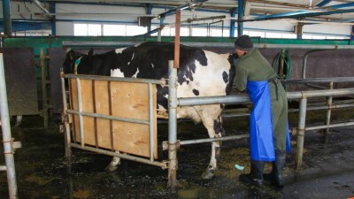 Ауыл шаруашылығы қызметкерлерінің айлығы орташа жалақыдан 40 пайыз төмен