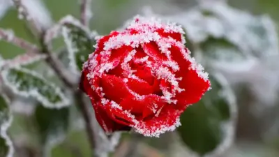 -35 градусқа дейін аяз: алдағы күндерге ауа райы болжамы