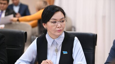 Сенатор Асанова: "Қиянатты дәстүрмен бүркемелейді". Отбасындағы зорлық туралы заң жобасында қандай жаңалық бар