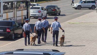Полиция иттері ерекше балаларды емдеу үшін қолданыла бастады