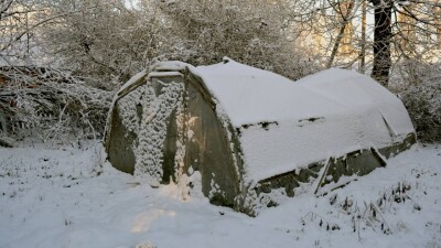 "668 млн желге ұшты". Арзан көкөніспен қамсыздандыратын саяжай бір түйір жеміс бермеген