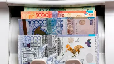 300 мың доллардан аса инвестиция салған шетелдіктер Қазақстанда 10 жыл тұра алады 