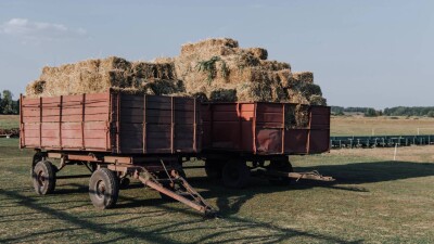 Қызылорда облысында полицейлер шаруалардан жоңышқа мен шөп бопсалаған