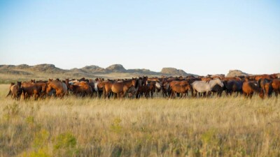 "Қазавтожолдың" жол қауіпсіздігін арттырудағы жаңа тәсілі қандай?