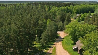 ШҚТУ ректоры: Жастар орман шаруашылығына бармайды, жалақыны азсынады