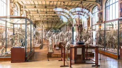 Париждегі Ұлттық табиғат тарихы мұражайынан 600 мың еуроның алтын құймалары ұрланды