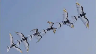 Қытайда құстарға еліктеп ұшатын жаңа робот жасалды