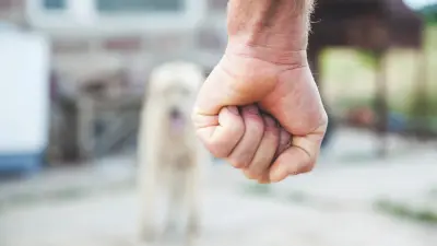 Алматыда 45 жастағы әйел өзін құдасы сабап кеткенін айтты