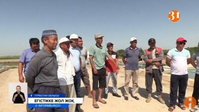 "Егістікке баратын өткел жоқ". Түркістан облысының диқандары көмек сұрады