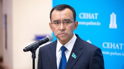 Президент Мәулен Әшімбаевты парламент сенатының төрағалығына ұсынды